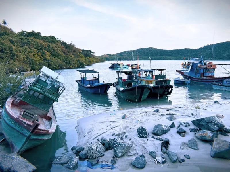 indulge in luxury fishing tours in vietnam unforgettable angling adventures