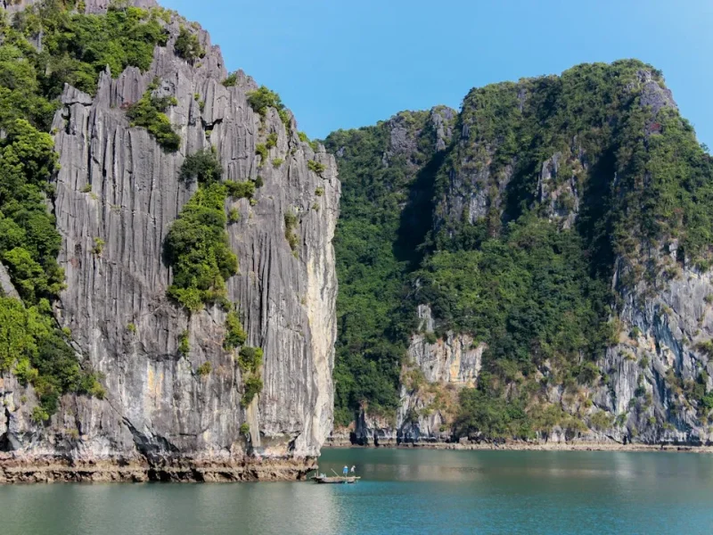 navigating fishing experiences tour packages vs diy adventures in vietnam