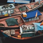 savoring the catch your essential guide to fishing and cooking in vietnam