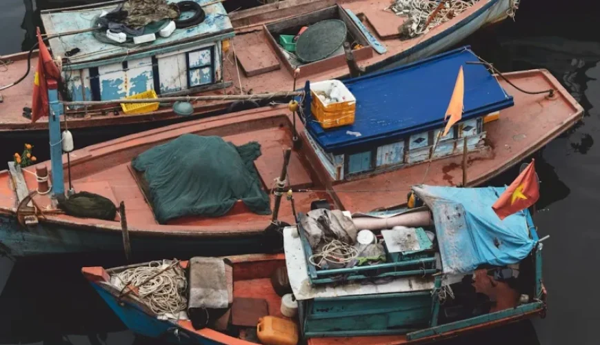 savoring the catch your essential guide to fishing and cooking in vietnam