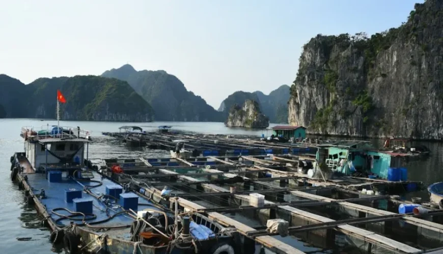 the ultimate fishing experiences in vietnam a journey into anglers paradise