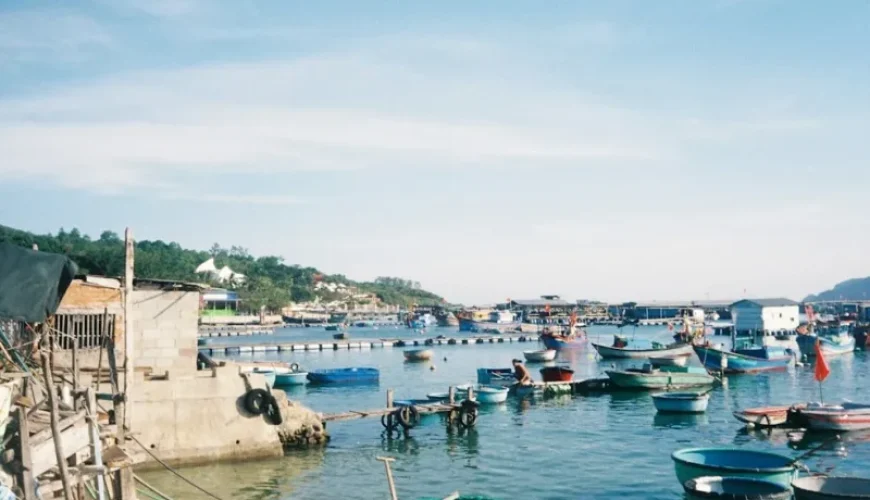 discover the best spots for spearfishing in vietnam essential guide