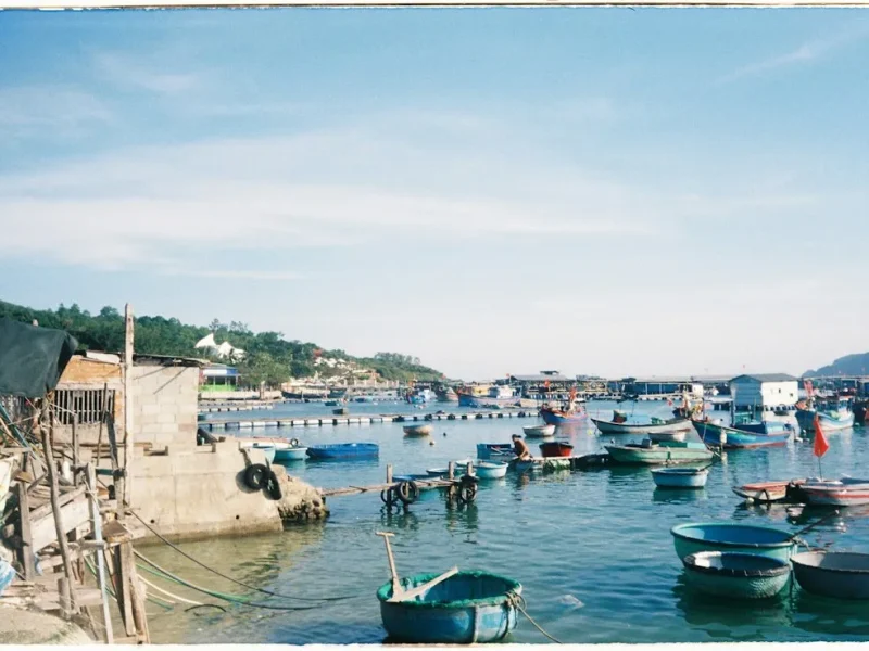 discover the best spots for spearfishing in vietnam essential guide