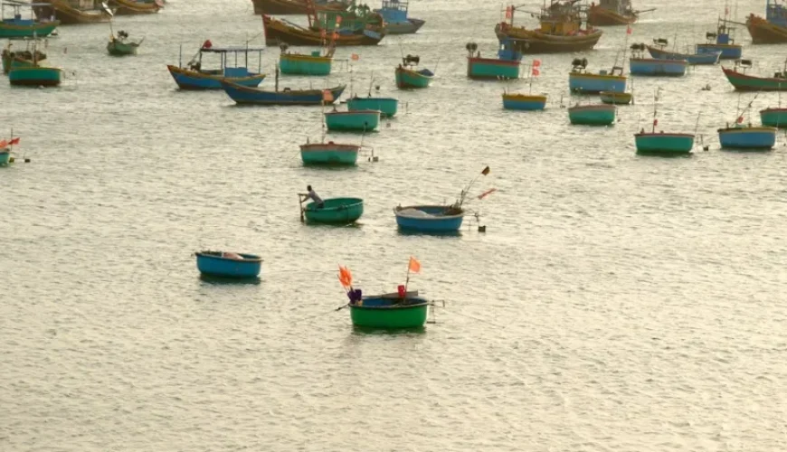 discover why vietnam is your next premier fishing destination in asia