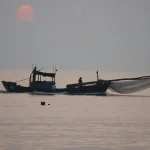 diving into fishing in vietnam beginners vs experts unveiled