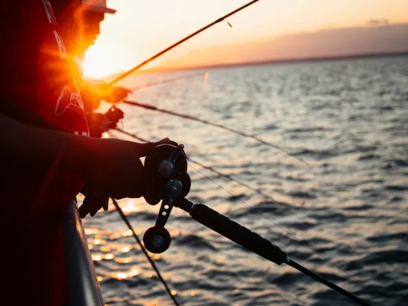 essential fishing apps and tools every angler needs for their vietnam adventure
