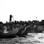 essential fishing regulations in vietnam a guide for tourists in