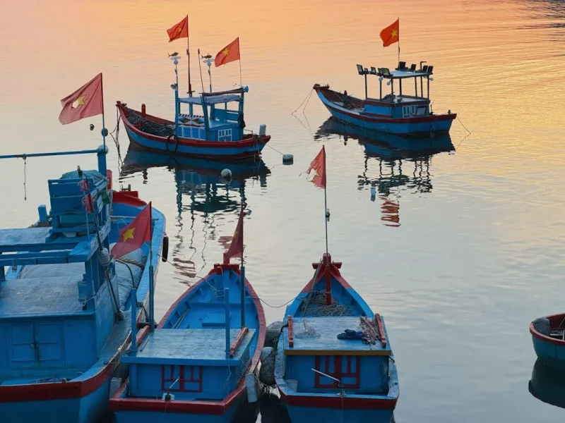 essential tips to avoid common fishing mistakes as a beginner in vietnam