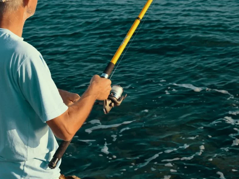 mastering the mighty mekong catfish a fishermans quest