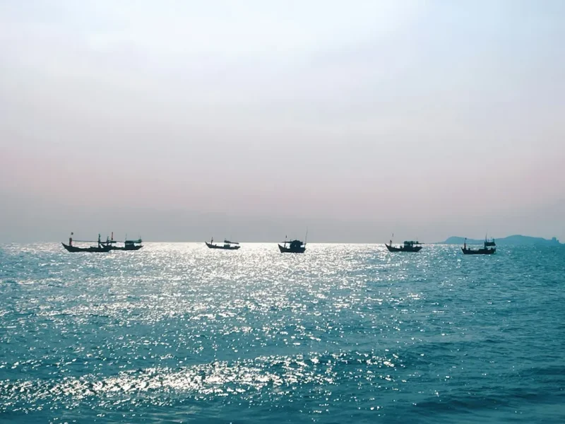navigate vietnams waters your ultimate guide to choosing the best fishing guides
