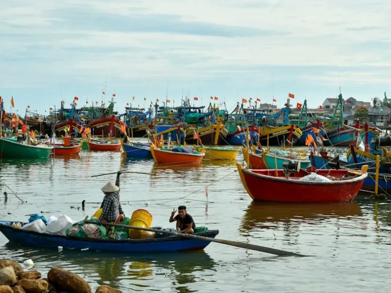 navigating fishing licenses in vietnam essential guide for anglers