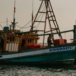 savor the catch a food lovers ultimate fishing experience in vietnam