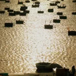 tuna fishing in vietnam your ultimate guide for enthusiasts