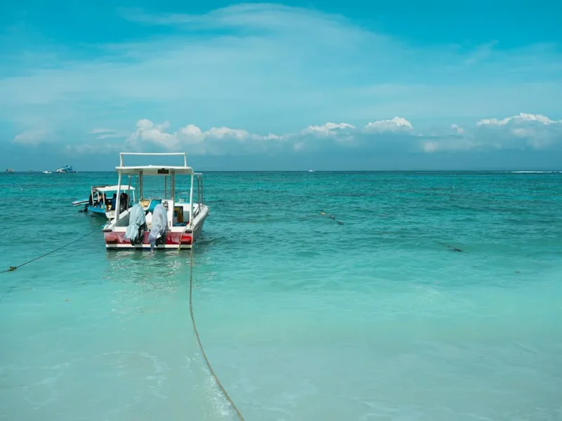 ultimate fishing and snorkeling combo adventures in vietnam