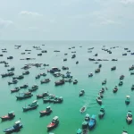 unlocking phu quoc fishing essential species seasons tours